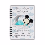 Mickey 1