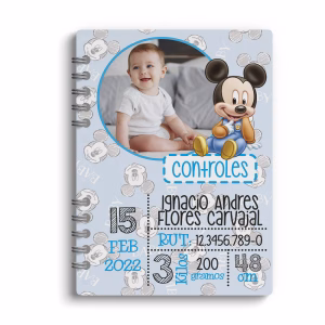 Particular Mickey