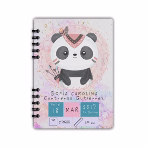 agenda pediátrica panda particular minsal